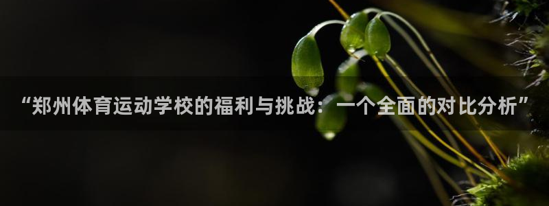 vsport体育官网下载平台假的吗是真的吗:“郑州体育运动学