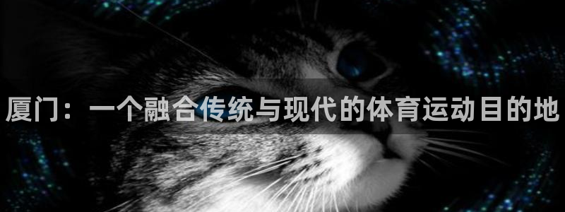 vsport体育官方正版app集团官网网址:厦门:一个融合传