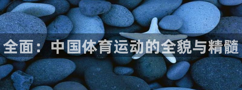 vsport体育官网下载平台假的吗是真的吗吗:全面:中国体育