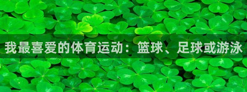 vsport体育官网下载平台注册要钱吗安全吗:我最喜爱的体育